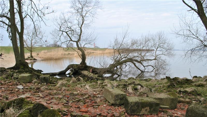Der Fähranleger vor dem Fährhaus Kirschenland wird im neuen Naturschutzgebiet Elbe liegen, könnte aber trotzdem reaktiviert werden. Foto: Vasel