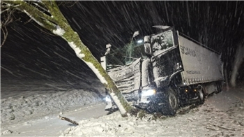 Der Fahrer blieb bei dem Unfall unverletzt.