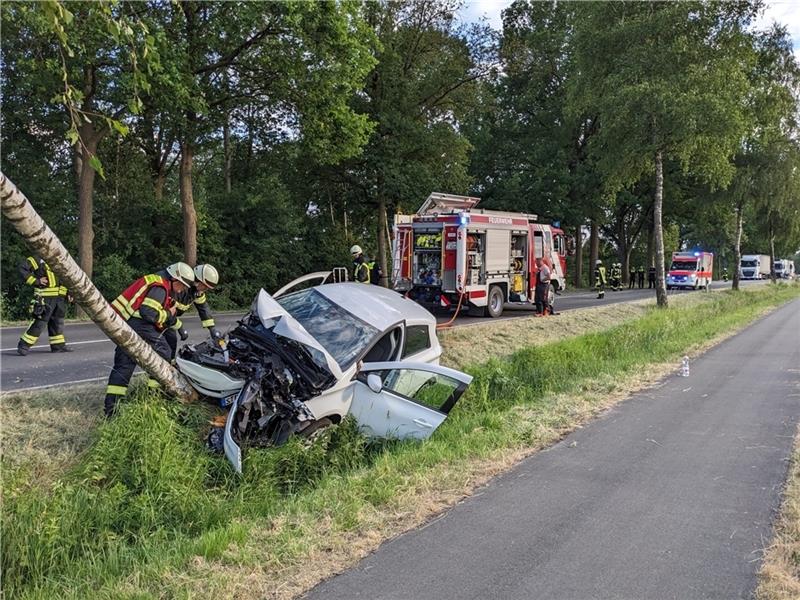 Der Fahrer des Renault Zoe ist am Donnerstagabend auf der L130 bei Sauensiek-Bockhorst gegen einen Baum geprallt. Der Fahrer konnte das Elektro-Auto - unterstützt von Ersthelfern - selbst verlassen. Foto: Feuerwehr
