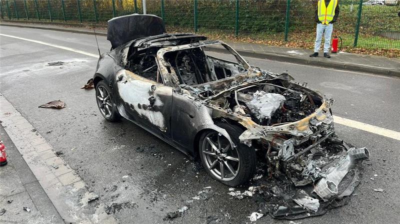Der Fahrer konnte sich rechtzeitig ins Freie retten.