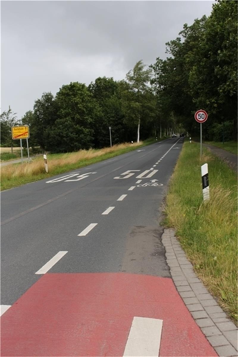 Der Fahrradstreifen auf dem Ottensener Weg von Ottensen in Richtung Buxtehude. Foto: Frank