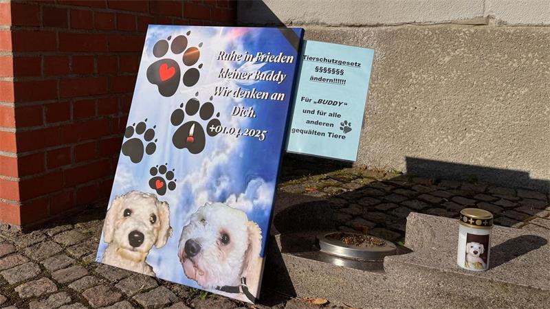Der Fall hat in Flensburg und in den sozialen Medien für viel Anteilnahme und Betroffenheit gesorgt.