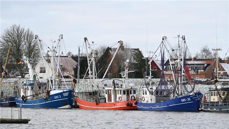 Der Februar brachte Wetterkontraste mit sich, war aber bis auf die letzten Februar-Tage vor allem von hartnäckiger Kälte geprägt. (Archivbild)