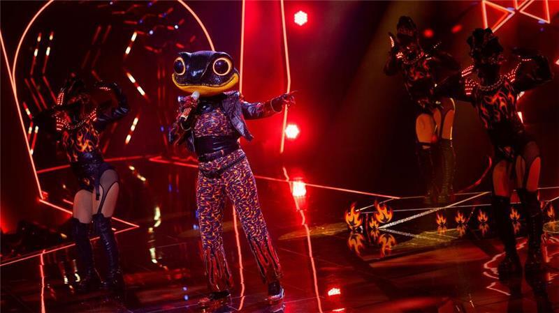 Der Feuersalamander hat es bei „The Masked Singer“ nicht ins Finale geschafft. (Archivbild)