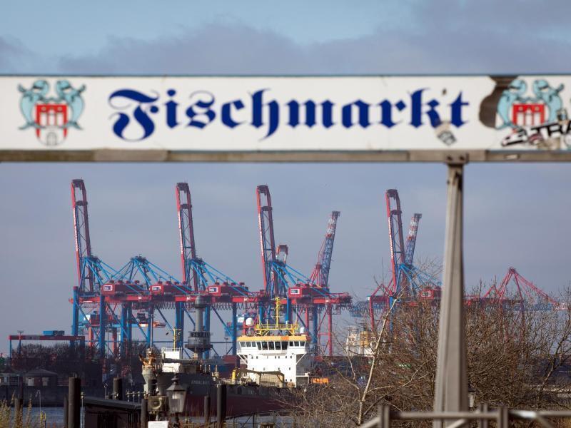 Der Fischmarkt am Hamburger Hafen. Foto: Christian Charisius/dpa