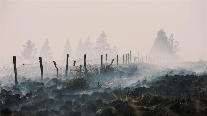 Der Flächenbrand im Hohen Venn hat große Schäden angerichtet.