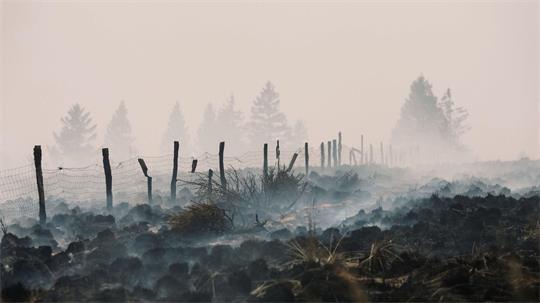 Der Flächenbrand im Hohen Venn hat große Schäden angerichtet.