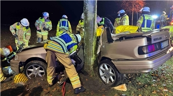 Der Ford wurde mit der Längsseite um den Baum gedrückt.