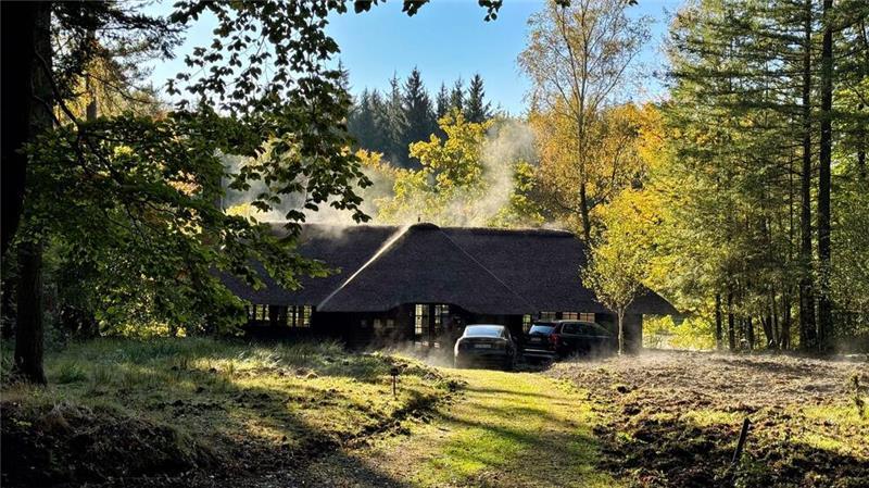 Der Forstgutsbezirk Sachsenwald hat Geld aus dem kommunalen Finanzausgleich bekommen. (Symbolbild)