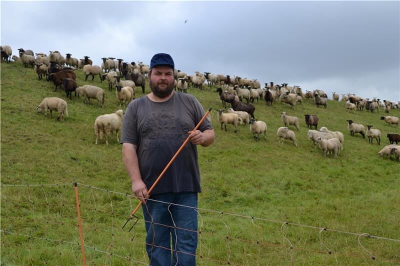 Der Freiburger Schäfer Kevin Höft ärgert sich über Vandalismus bei seinen Schafszäunen. Ein Unbekannter schneidet die Stangen heraus und zerstört so die Netze. Jetzt ist sogar ein Lamm dadurch umgekommen. Foto: Helfferich