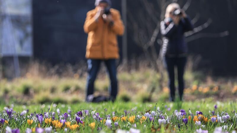 Milder Frühlingsstart in Deutschland Der Frühling hält Einzug in Deutschland.