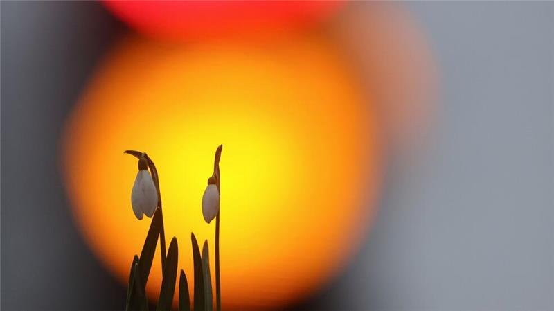 Der Frühling ist da