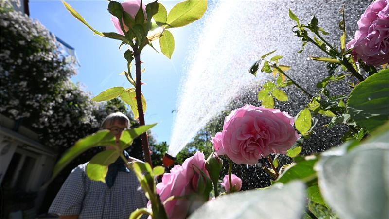Ein Frühling wie ein Sommer? Zu sonnig und zu warm Der Frühling war deutlich trockener als im Schnitt.
