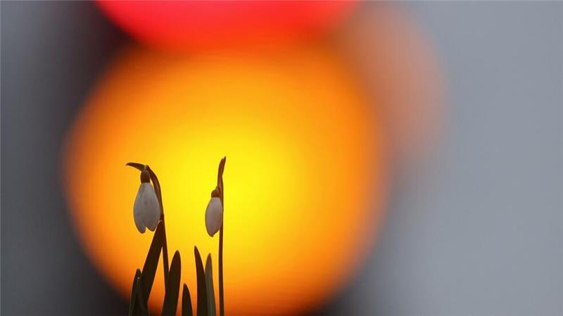 Der Frühling zeigt sich in der neuen Woche öfter. 