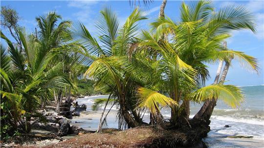 Der Fund zweier Leichen auf dem Grundstück eines deutschen Paares in Costa Rica gibt Rätsel auf. (Archivbild)