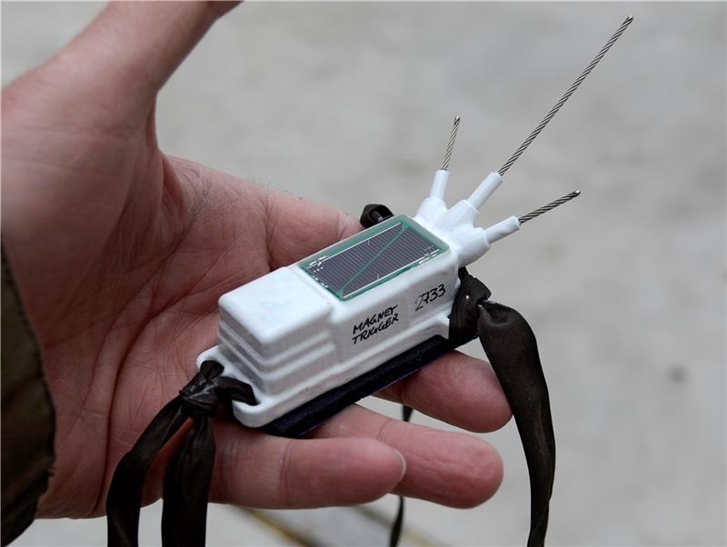 Von Madrid nach Schwinge: Langer Weg für Storch Porrentruy Der GPS-Datenlogger mit Solarpaneel zur Energieversorgung.