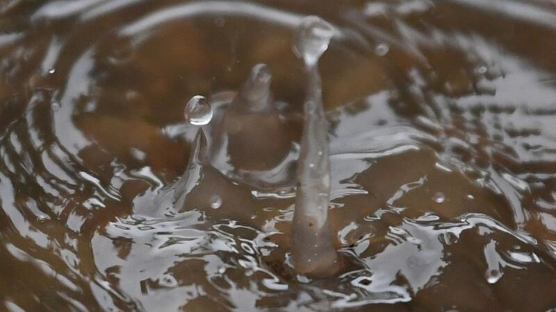 Wissenswertes zu Donner und Blitz Der Geruch von Sommerregen heißt Petrichor. (Archivbild)