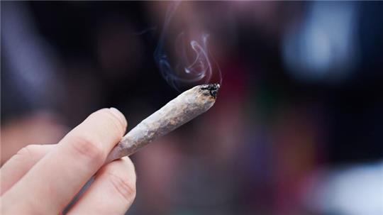 Der Gesetzentwurf sieht vor, Cannabis im Betäubungsmittelgesetz von der Liste der verbotenen Substanzen zu streichen.