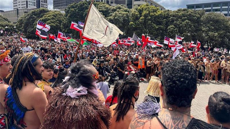 Der Gesetzesentwurf legt das Gründungsdokument Neuseelands - den Vertrag von Waitangi - neu aus.