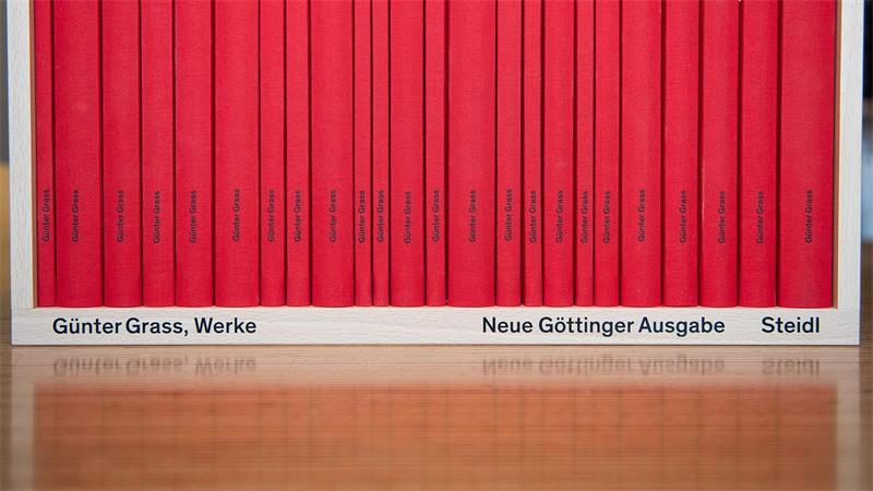 Der Göttinger Steidl-Verlag steckt in einem vorläufigen Insolvenzverfahren. Der Verlag hält die Weltrechte am Werk von Günter Grass. (Archivbild)