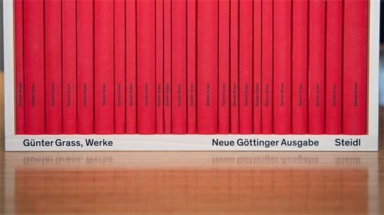 Der Göttinger Steidl-Verlag steckt in einem vorläufigen Insolvenzverfahren. Der Verlag hielt lange Jahre die Weltrechte am Werk von Günter Grass. (Archivbild)