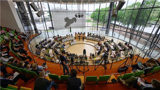 Der Grünen-Antrag zur Unterstützung kleiner Schlachtbetriebe bekam am Mittwochabend nur mit Hilfe von AfD und BSW eine Mehrheit. (Archivbild)