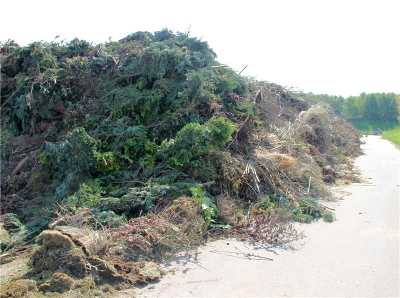 Der Grünmüllberg auf der Anlage ist immens gewachsen. 4000 Tonnen produziert allein Harburg.