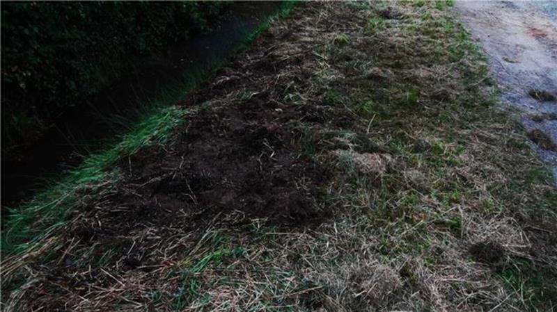 Feuer vor der eigenen Hofeinfahrt - Anwohner greift zur Gießkanne Der Grundstücksbesitzer, der das Feuer entdeckt hatte, begann nach der Alarmierung der Feuerwehr sofort mit ersten Löschversuchen - ausgestattet mit einem Feuerlöscher und einer Gießkanne.