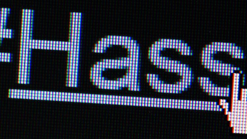 Der Hashtag „Stolzmonat“ geht laut Verfassungsschutz auf rechtsextremistische Organisationen zurück. (Archivbild)