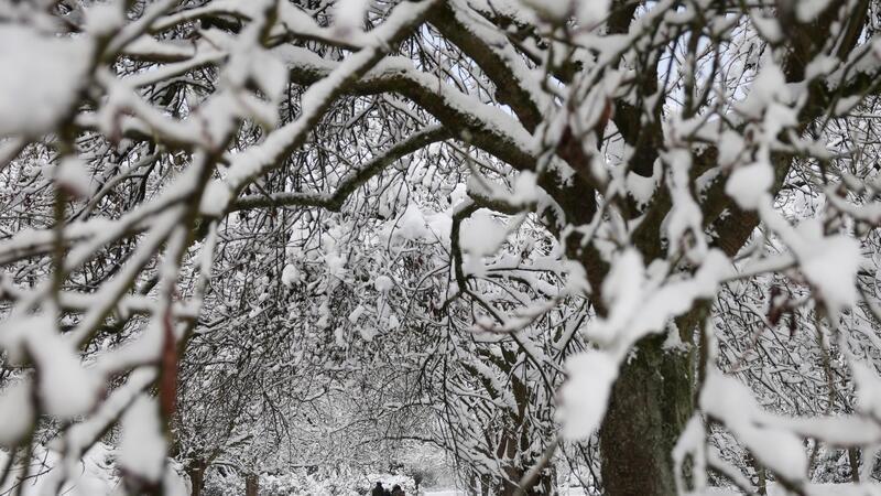 Der Hauptfriedhof in Altona ist wegen des Winterwetters schon gesperrt worden. (Archivbild)