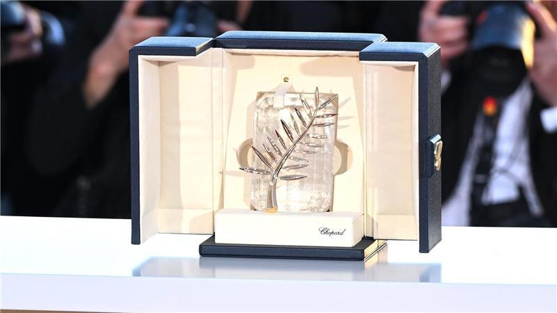 Der Hauptpreis des Filmfests in Cannes: Die Goldene Palme. (Archivbild)