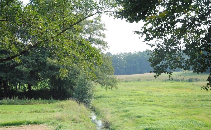 Der Heidbeck , von der Harsefelder Straße in Riensförde aus gesehen. Eine grüne Zone zwischen der Kernstadt und der Heidesiedlung. Fotos Stief