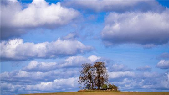 Der Herbst ist da 
