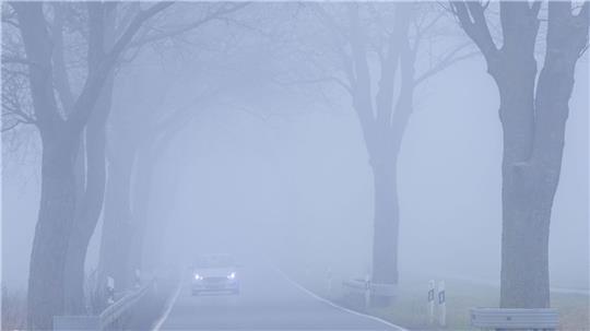 Der Herbst zeigt sich im Norden trüb und neblig mit starker Bewölkung und Sprühregen. (Symbolbild)