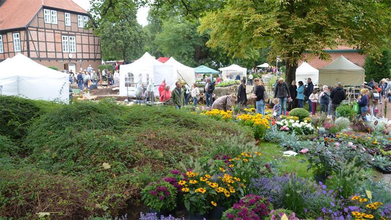 Harsefelder Herbstzauber: Wo Silber, Stände und Stauden locken Der Herbstzauber im Klosterpark Harsefeld hat auch am Sonntag noch bis 18 Uhr geöffnet.