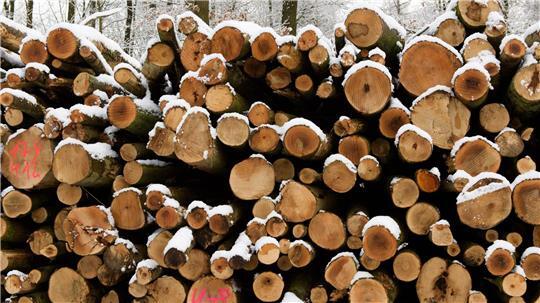 Der Hersteller von Holzbearbeitungsmaschinen Weinig leidet unter der Wirtschaftsflaute. (Foto Illustration)