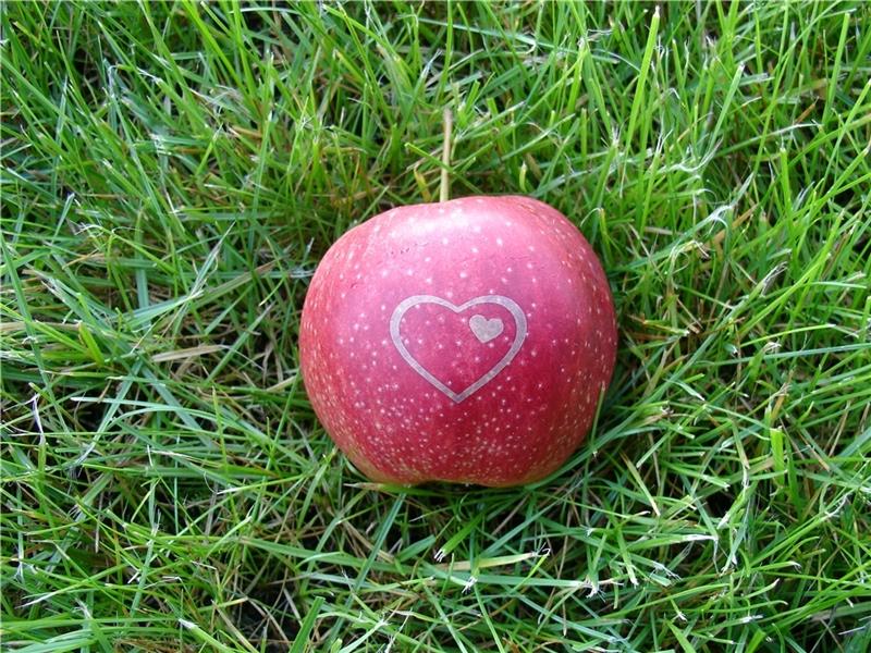 Der Herzapfelhof ist bekannt für seine per Laser gravierten Äpfel und ihren besonderen Hof. Foto: Herzapfelhof