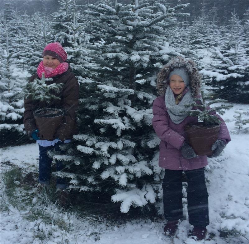 Ein Weihnachtsbaum für alle Fälle Der Hof Thomfohrde bietet Bäume für Kinder : Celine (rechts) und Pia präsentieren stolz ihre eigenen kleinen Sämlinge.
