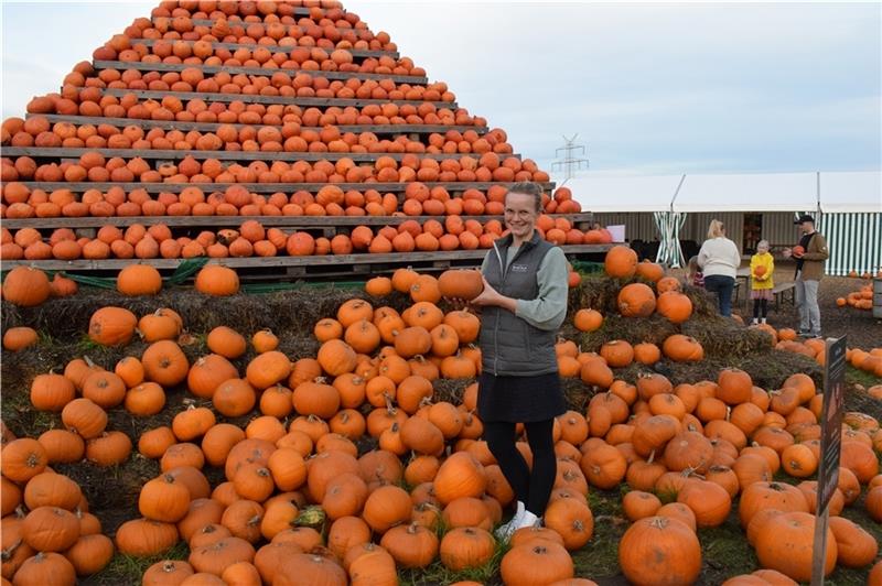 Der Hokkaido-Kürbis (Foto) ist zusammen mit dem Halloween-Kürbis der beliebteste bei den Kunden, sagt Hofmitarbeiterin Lena Prigge. Foto: Möller