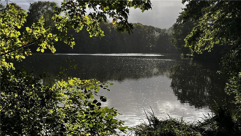 Voller Leben - aber in Gefahr: Die Gewässer im Landkreis Stade Der Horstsee im Oktober 2025.