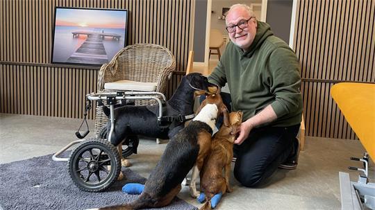 Der Hundetherapeut Marco Nolte-Ernsting erklärt die Funktionsweise eines Rollwagens. Er wird genutzt, wenn die Hinterbeine des Tieres gelähmt oder noch zu schwach für das eigene Gewicht sind.