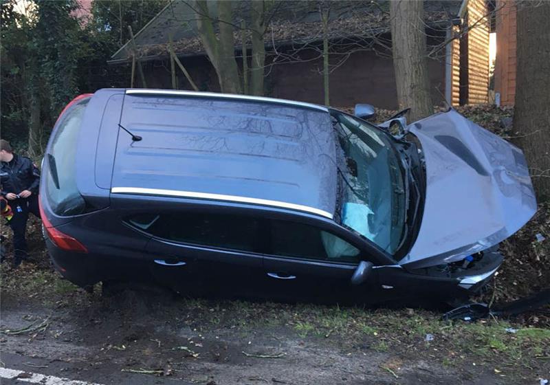 Der Hyundai Tucson fährt auf einen Hang auf und kollidiert mit einem Baumstamm. Foto: Woitera