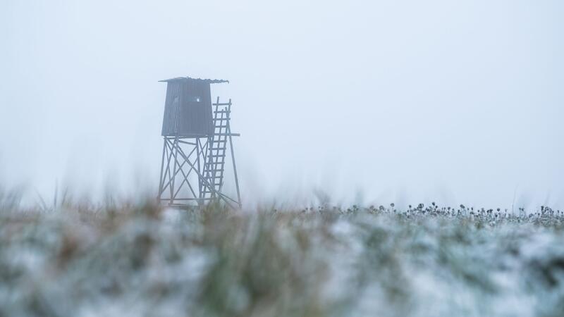 Der Jäger schoss aus seinem Hochsitz. (Symbolbild)