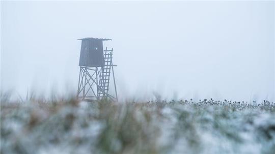Der Jäger schoss aus seinem Hochsitz. (Symbolbild)