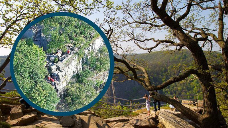 17-Jähriger stürzt von Aussichtsplattform im Harz – tot Der Jugendliche stieg über ein Gelände am Hexentanzplatz und starb.