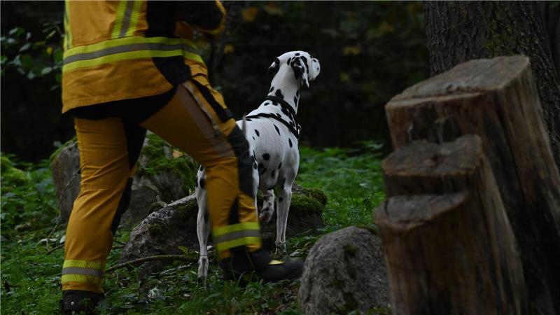„Der Junge war möglicherweise auf dem Weg zu seinem Vater“, sagte die Sprecherin.