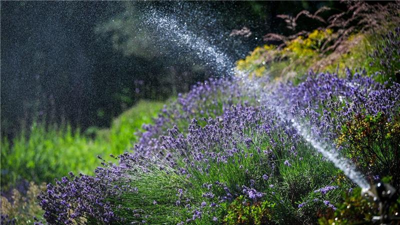 Wetterdienst: Juni war außergewöhnlich warm Der Juni war deutlich zu warm und zu trocken.