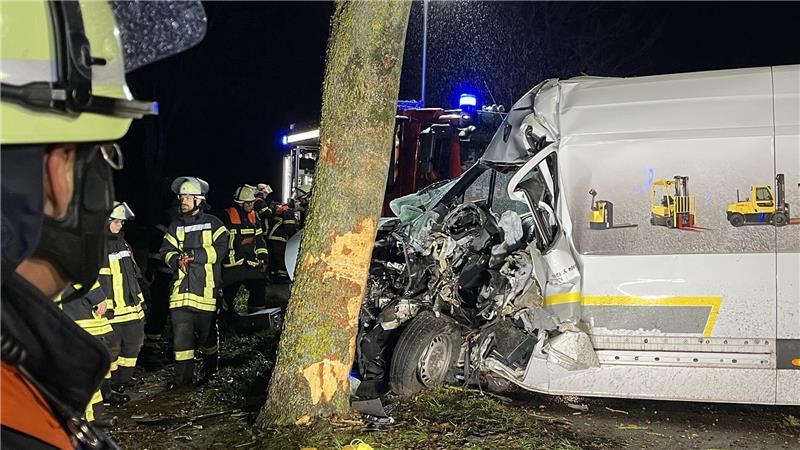 Der Kastenwagen prallte in Steinkirchen gegen einen Baum.