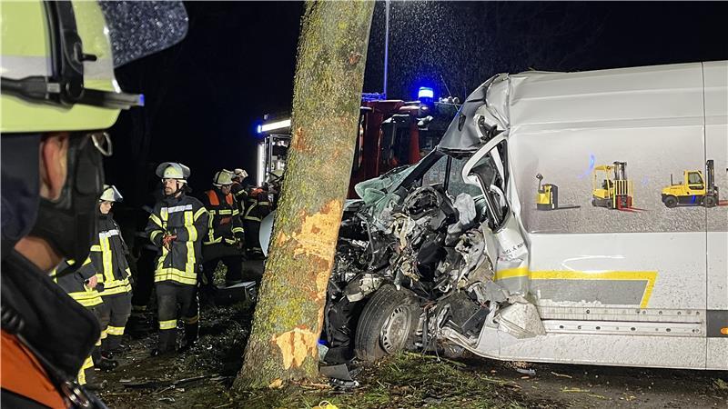 Der Kastenwagen prallte in Steinkirchen gegen einen Baum.