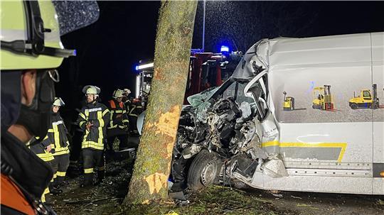 Der Kastenwagen prallte in Steinkirchen gegen einen Baum.